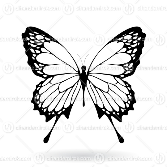 Black and White Butterfly Illustration