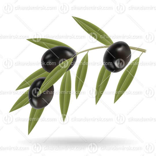 Black Olives and Green Leaves
