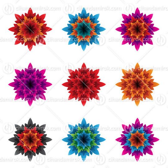 Colorful Bold Flowers with Spiky Petals Vector Illustration
