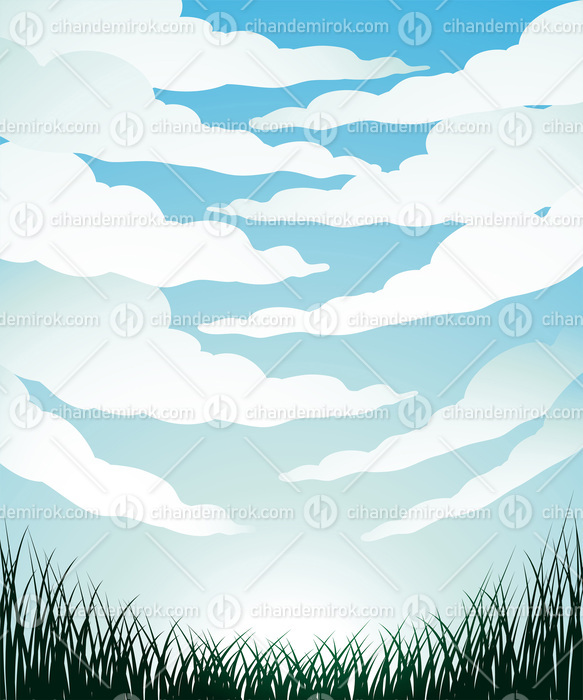 Fisheye View of Clouds and Grass