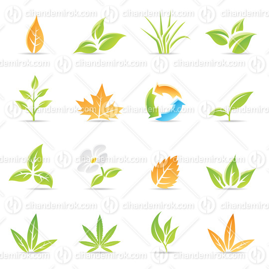 Glossy Leaves with Recycling Symbol and Daisy Flower