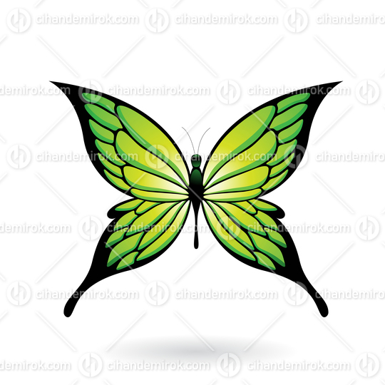 Green and Black Butterfly Illustration with Pointed Wings