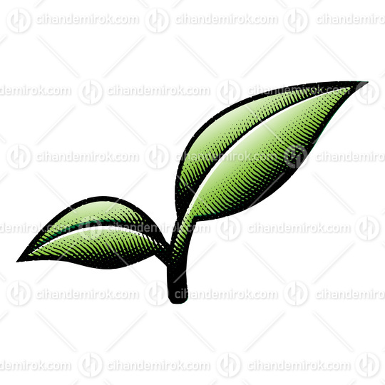 Green Scratchboard Engraved Leaf Branch 