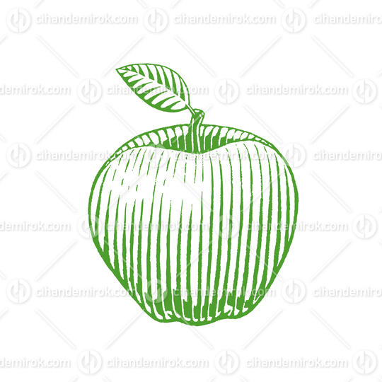 Green Vectorized Shaded Ink Sketch of Apple Illustration