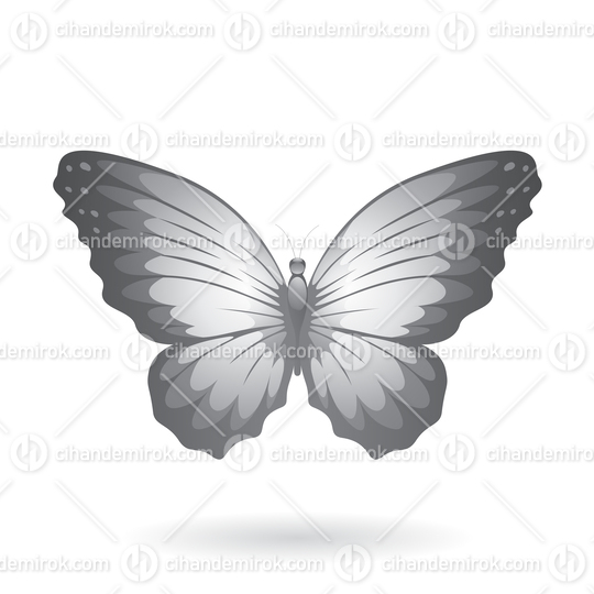 Grey Butterfly Illustration with Round Wings