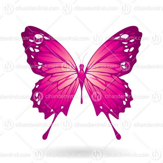 Magenta Butterfly Illustration