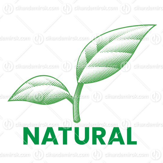 Natural Engraved Green Leaves Icon