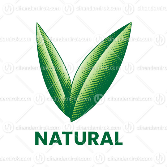 Natural Icon with Engraved Green Leaves