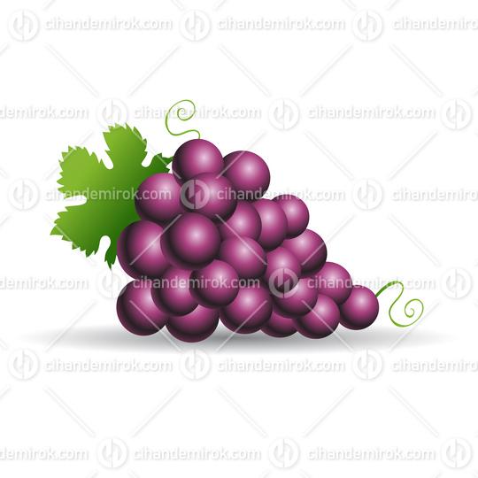 Purple Grapes with Leaves Icon