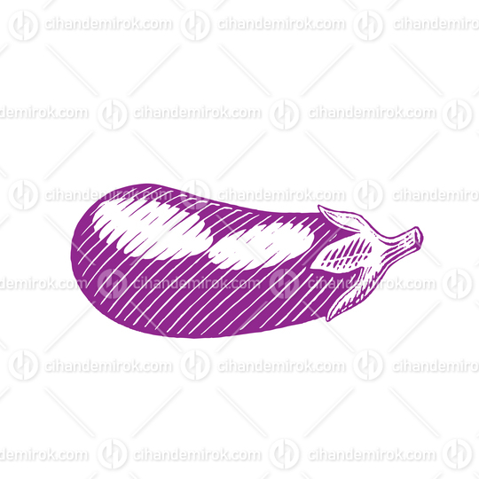 Purple Vectorized Ink Sketch of Eggplant Illustration
