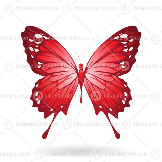 Red Butterfly Illustration
