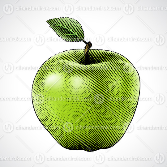 Scratchboard Engraved Apple with Green Fill