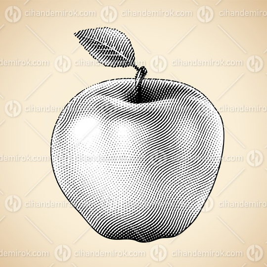 Scratchboard Engraved Apple with White Fill