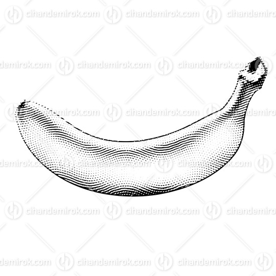 Scratchboard Engraved Banana