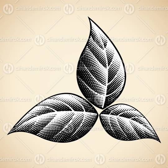 Scratchboard Engraved Black Tobacco Leaves with White Fill