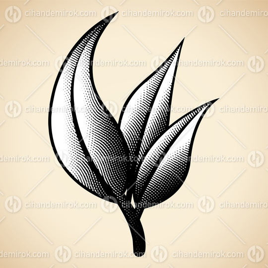 Scratchboard Engraved Branch of Leaves on a Beige Background