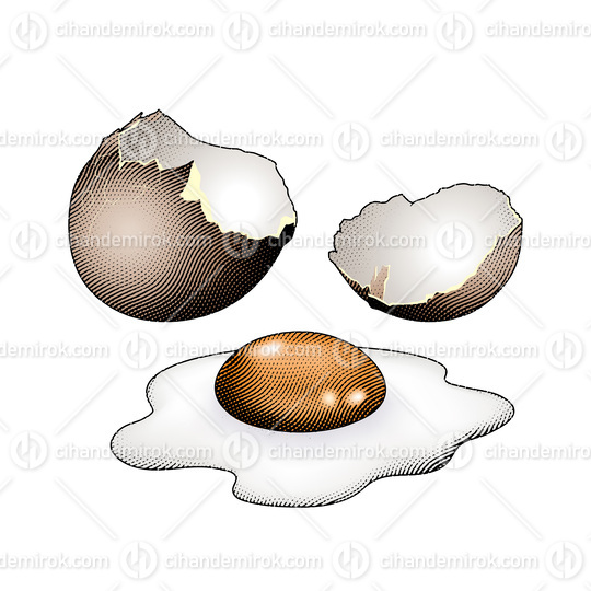 Scratchboard Engraved Broken Egg with Colorful Fill