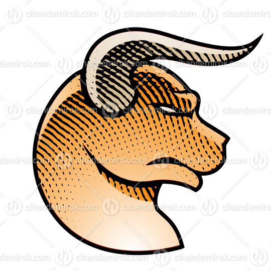 Scratchboard Engraved Bull Profile View with Colorful Fill