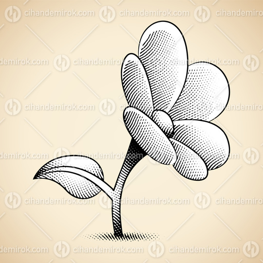 Scratchboard Engraved Daisy Flower with White Fill