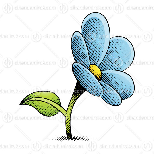 Scratchboard Engraved Daisy Flower with Yellow and Light Blue Fill