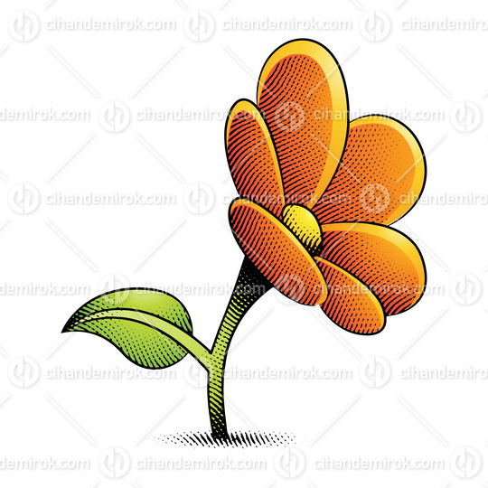 Scratchboard Engraved Daisy Flower with Yellow and Orange Fill