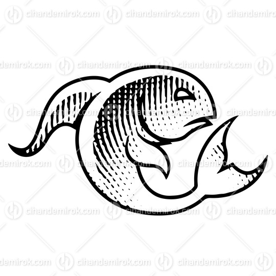 Scratchboard Engraved Fish