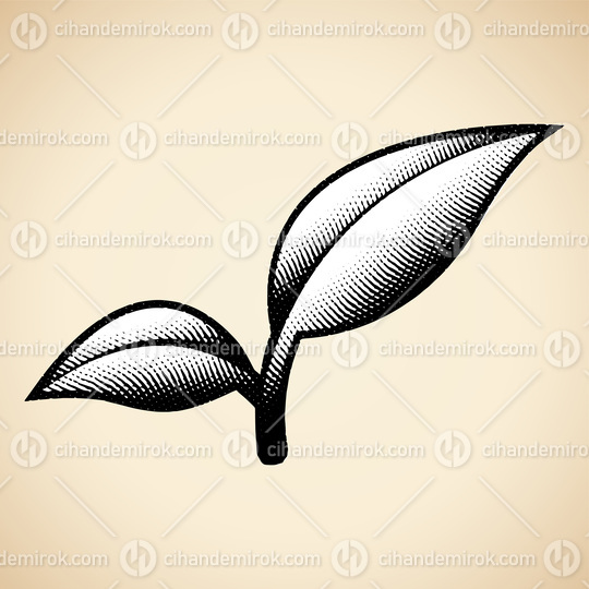 Scratchboard Engraved Leaf Branch with White Fill
