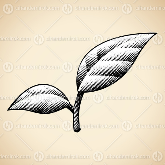 Scratchboard Engraved Leaves with Black Outlines and White Fill