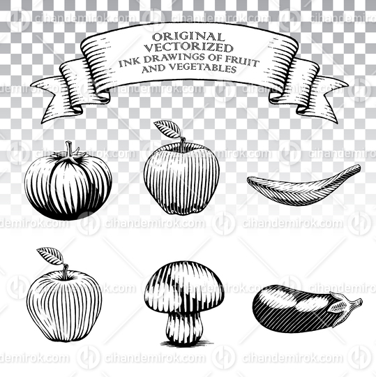 Scratchboard Style Ink Drawings of Fruit and Vegetables