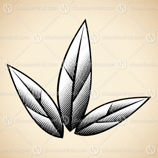 White Scratchboard Engraved Leaves on a Beige Background