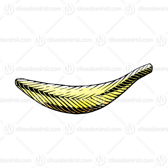 Yellow Banana, Scratchboard Engraved Vector