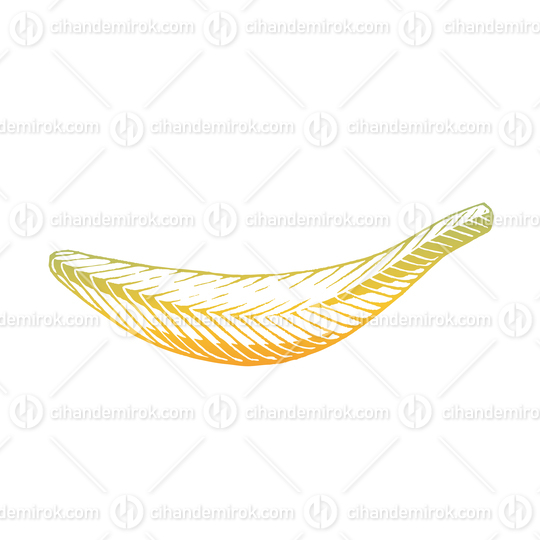 Yellow Vectorized Ink Sketch of Banana Illustration